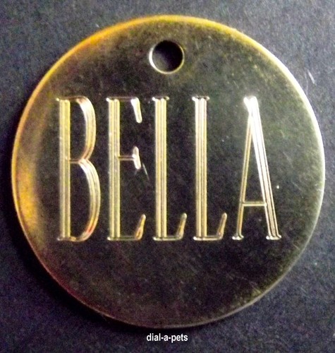 Engraved pet name discs - name, ✦